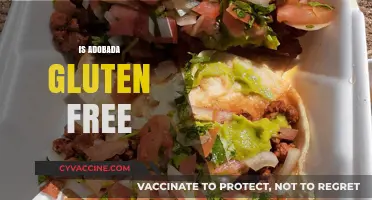 Is Adobada Gluten Free? A Complete Guide to This Mexican Dish