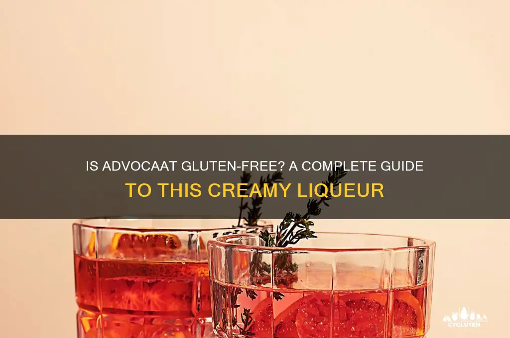 is advocaat gluten free