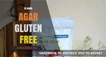 Is Agar Agar Gluten Free? A Complete Guide for Dietary Needs