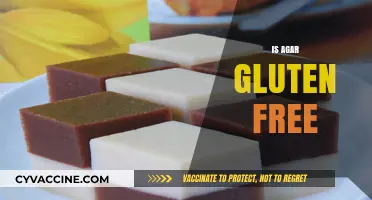 Is Agar Gluten Free? A Clear Answer for Your Diet