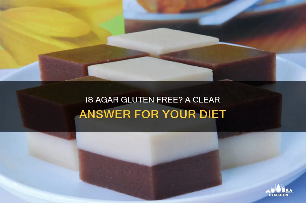 is agar gluten free