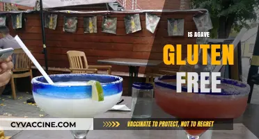 Is Agave Gluten-Free? A Sweetener Safety Guide for Celiacs