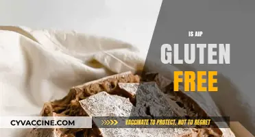 Is AIP Gluten-Free? Understanding Autoimmune Protocol Diet Basics