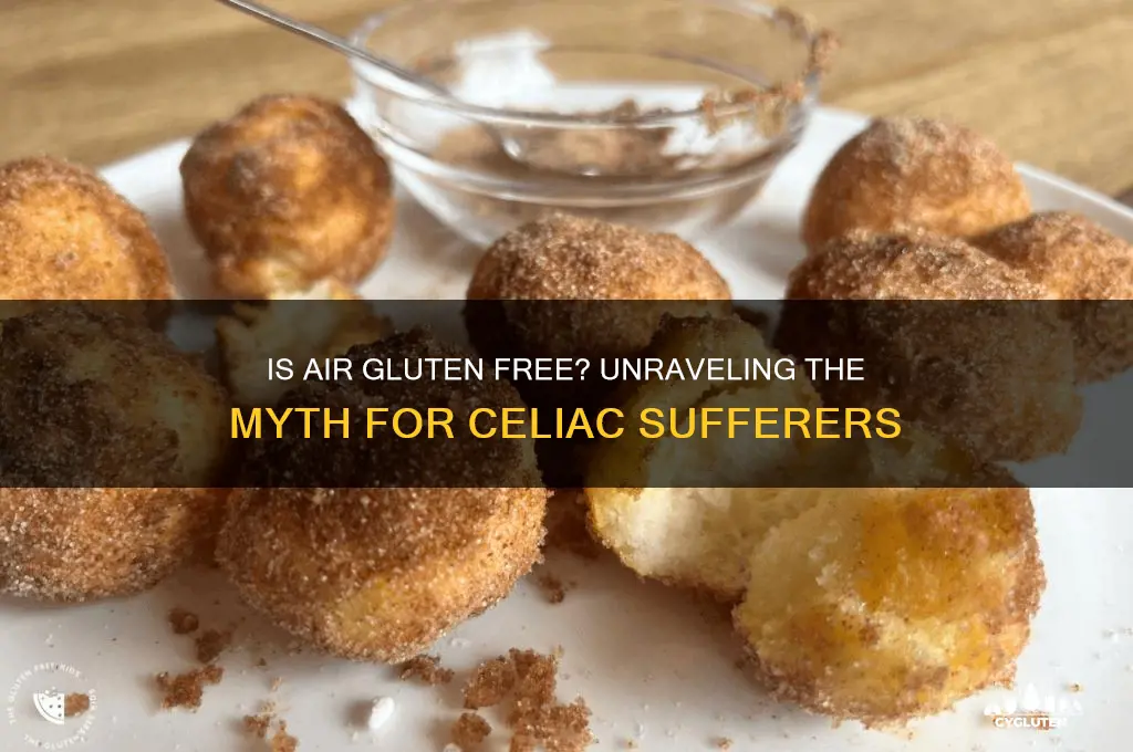 is air gluten free
