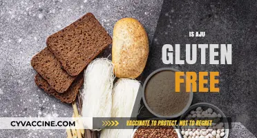 Is Aju Gluten Free? Exploring Ingredients and Dietary Suitability