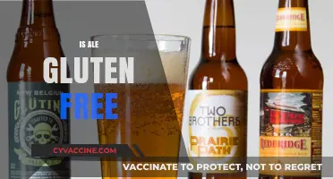 Is Ale Gluten-Free? Exploring Gluten Content in Your Favorite Brew