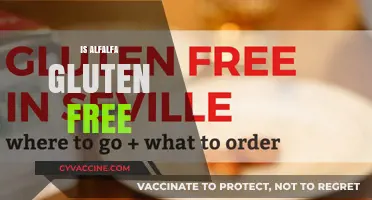 Is Alfalfa Gluten-Free? A Comprehensive Guide to Alfalfa Safety
