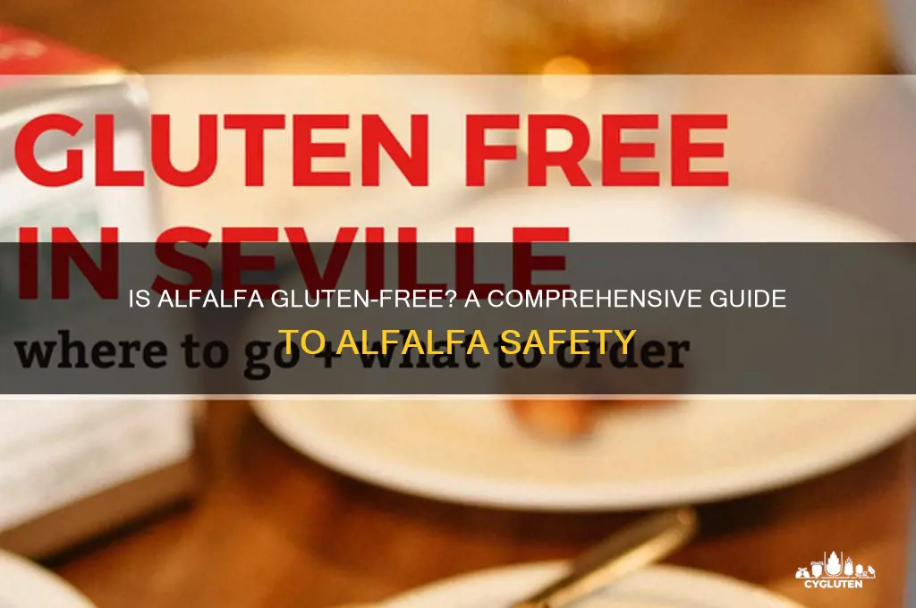 is alfalfa gluten free