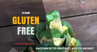 Is Align Gluten-Free? Exploring the Digestive Supplement's Ingredients