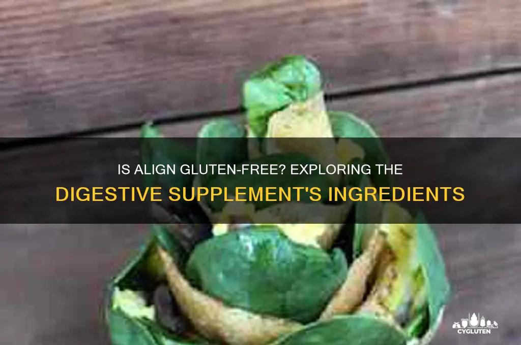 is align gluten free
