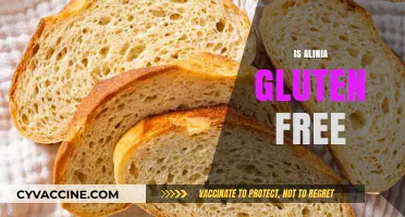 Is Alinia Gluten Free? A Comprehensive Guide to Its Ingredients