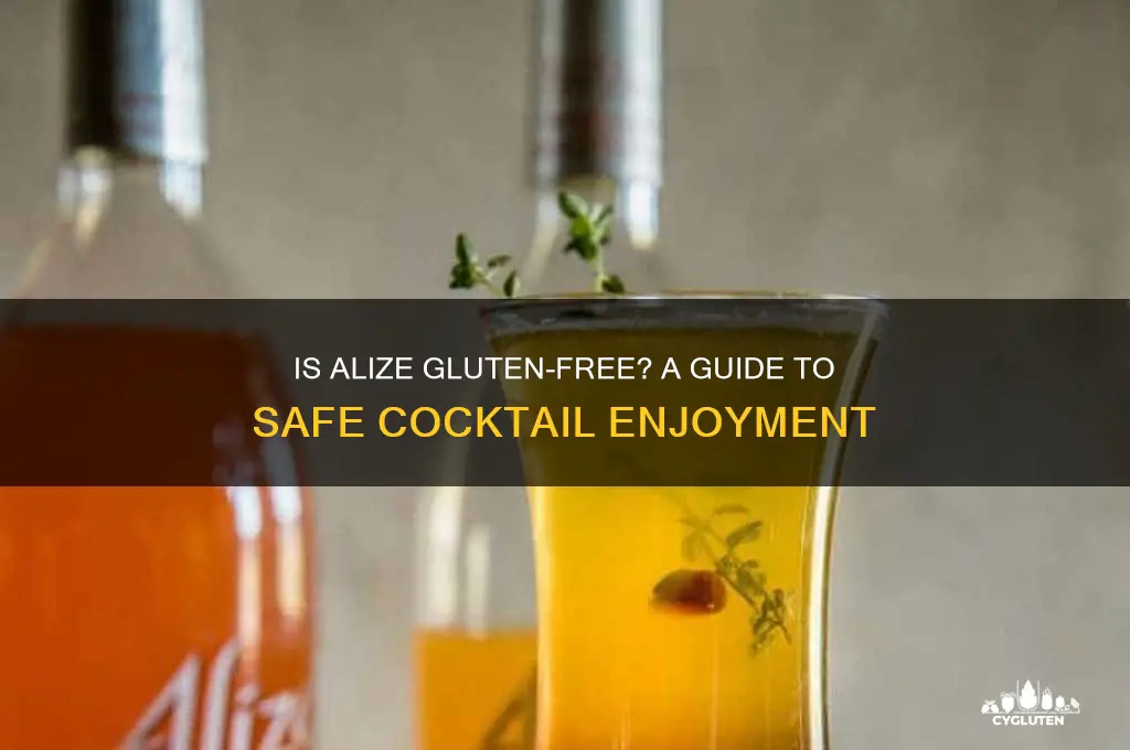 is alize gluten free