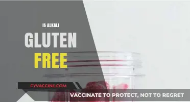 Is Alkali Gluten-Free? Understanding Its Role in Food Processing