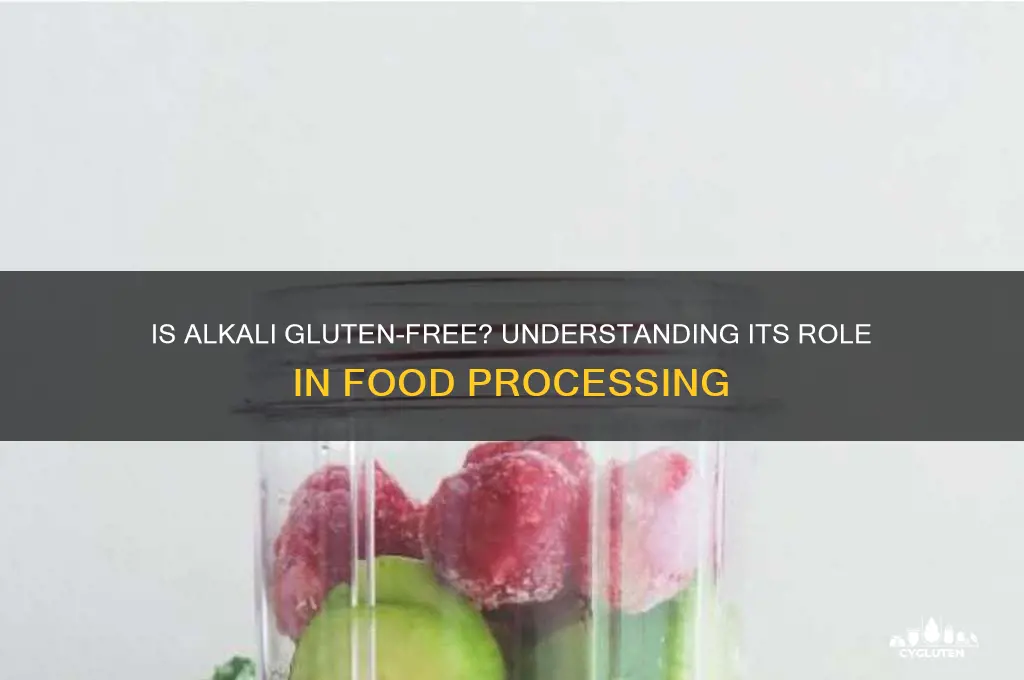 is alkali gluten free
