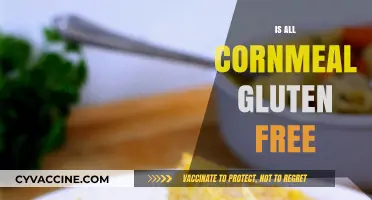 Is All Cornmeal Gluten-Free? Unraveling the Truth for Celiac Diets
