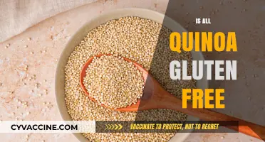 Is All Quinoa Gluten-Free? Unraveling the Truth for Celiac Diets