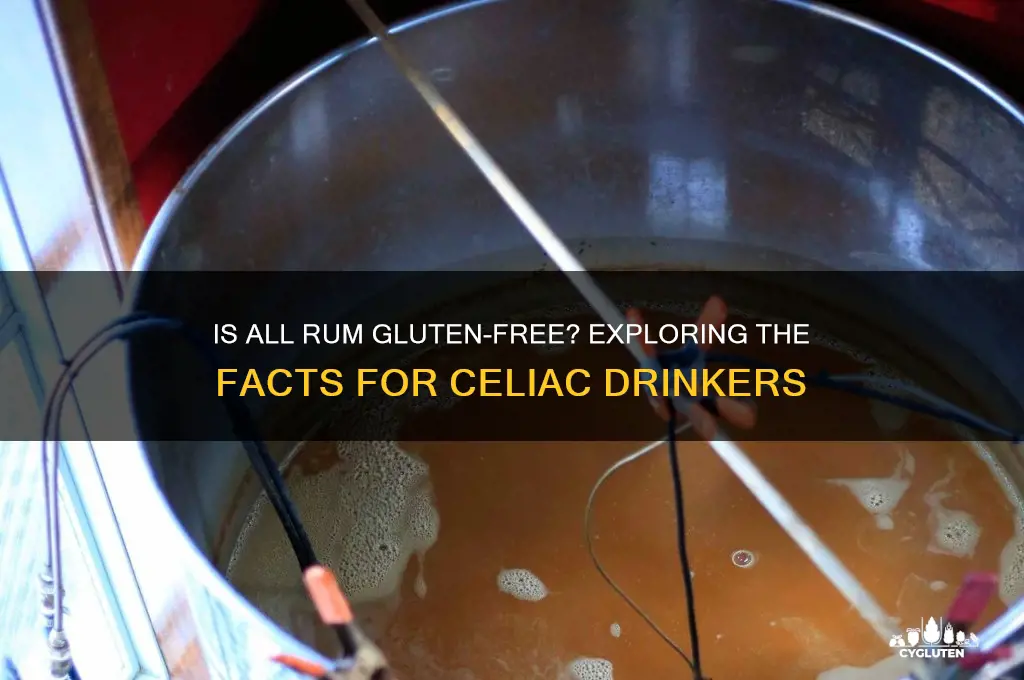 is all rum gluten free
