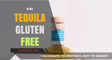 Is All Tequila Gluten-Free? Uncovering the Truth for Celiac Drinkers