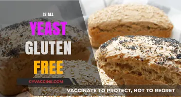 Is All Yeast Gluten-Free? Unraveling the Truth for Celiac Diets