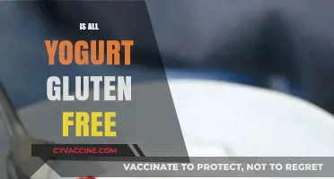 Is All Yogurt Gluten-Free? A Comprehensive Guide to Safe Options