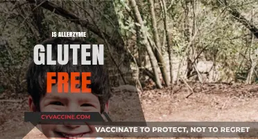 Is Allerzyme Gluten Free? A Comprehensive Guide to Its Ingredients
