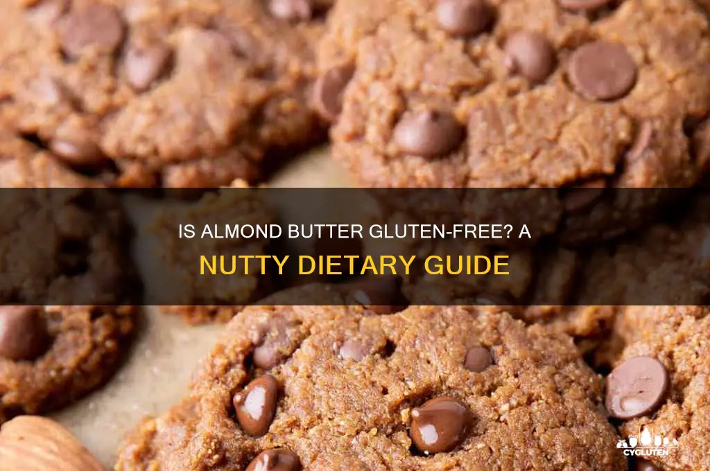 is almond butter gluten free
