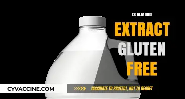 Is Almond Extract Gluten-Free? A Clear Answer for Your Diet