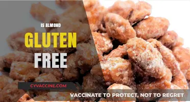 Are Almonds Gluten-Free? A Comprehensive Guide to Safe Snacking