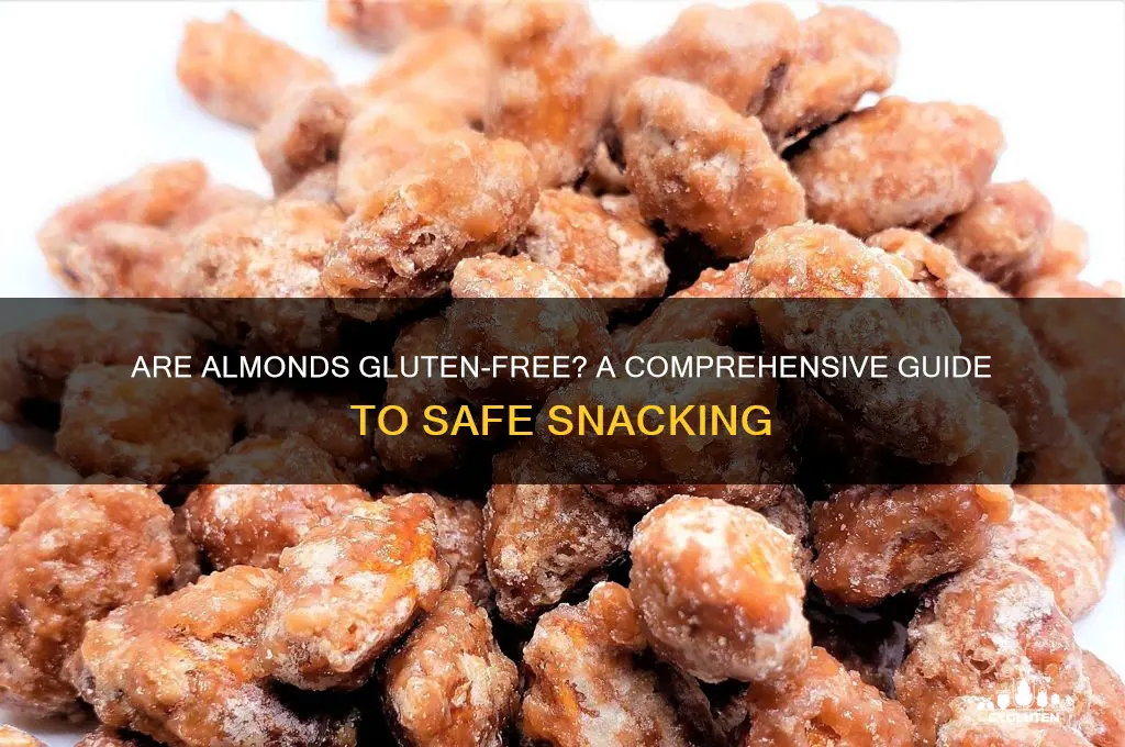 is almond gluten free