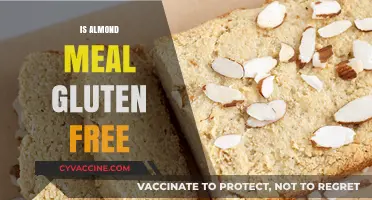 Is Almond Meal Gluten-Free? A Clear Answer for Your Diet