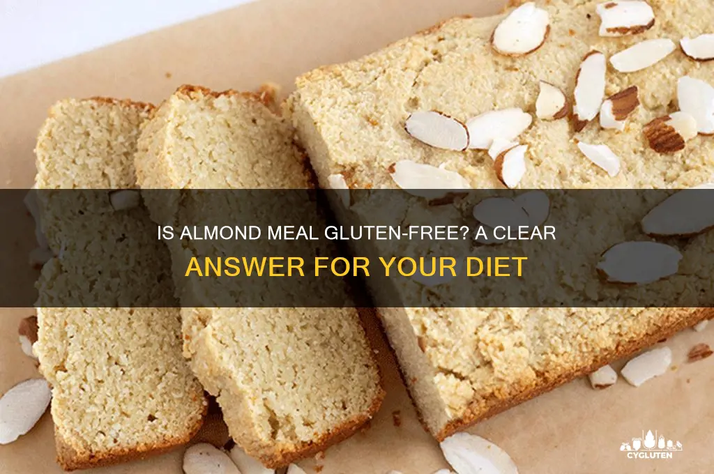 is almond meal gluten free