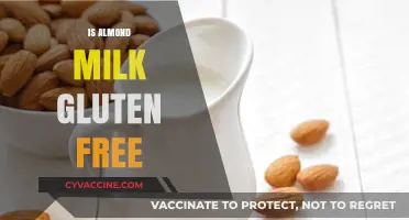 Is Almond Milk Gluten-Free? A Comprehensive Guide for Dietary Needs