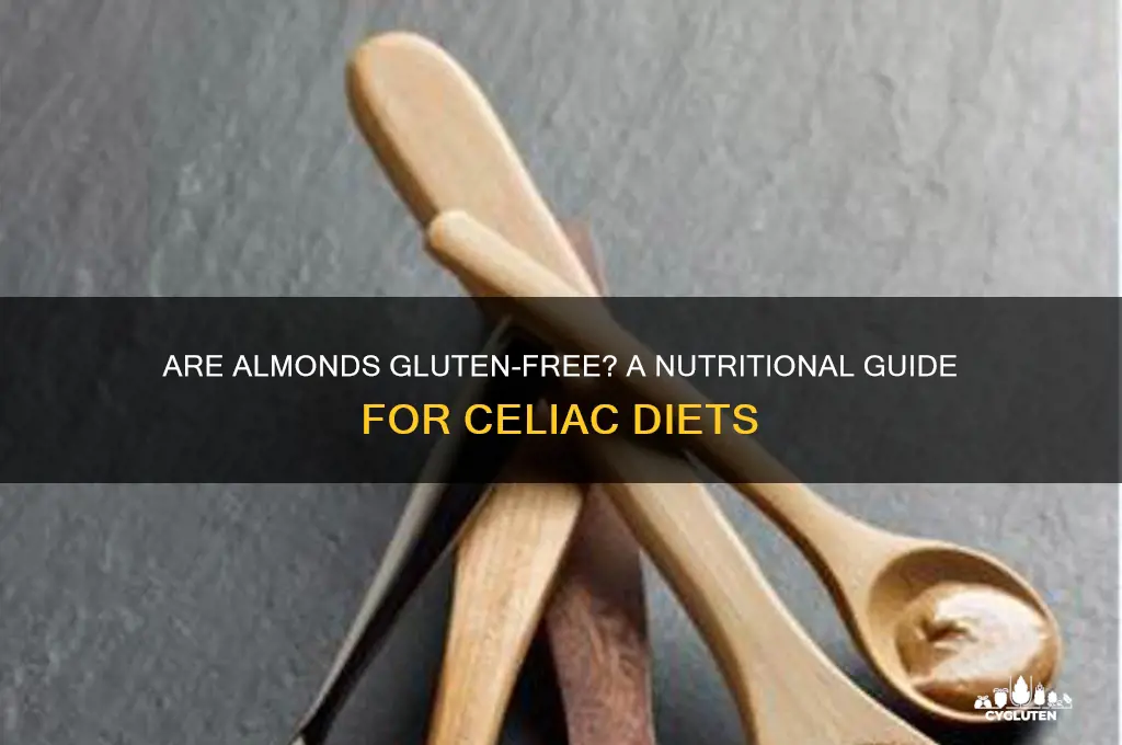is almonds gluten free
