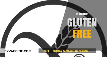 Is Alocane Gluten-Free? A Comprehensive Guide for Sensitive Diets