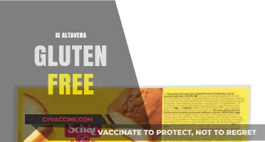 Is Altavera Gluten-Free? A Comprehensive Guide to Your Concerns
