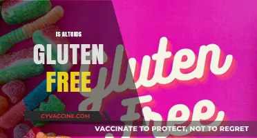 Are Altoids Gluten-Free? A Comprehensive Guide to Ingredients and Safety