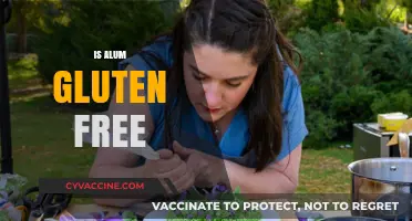 Is Alum Gluten-Free? Understanding Its Safety in Gluten-Free Diets