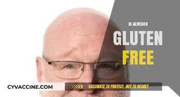 Is Alvesco Gluten-Free? A Comprehensive Guide for Asthma Patients