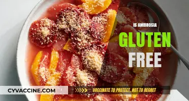Is Ambrosia Gluten-Free? Exploring Ingredients and Safe Consumption Options