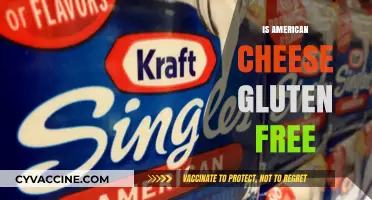 Is American Cheese Gluten-Free? A Complete Guide for Cheese Lovers