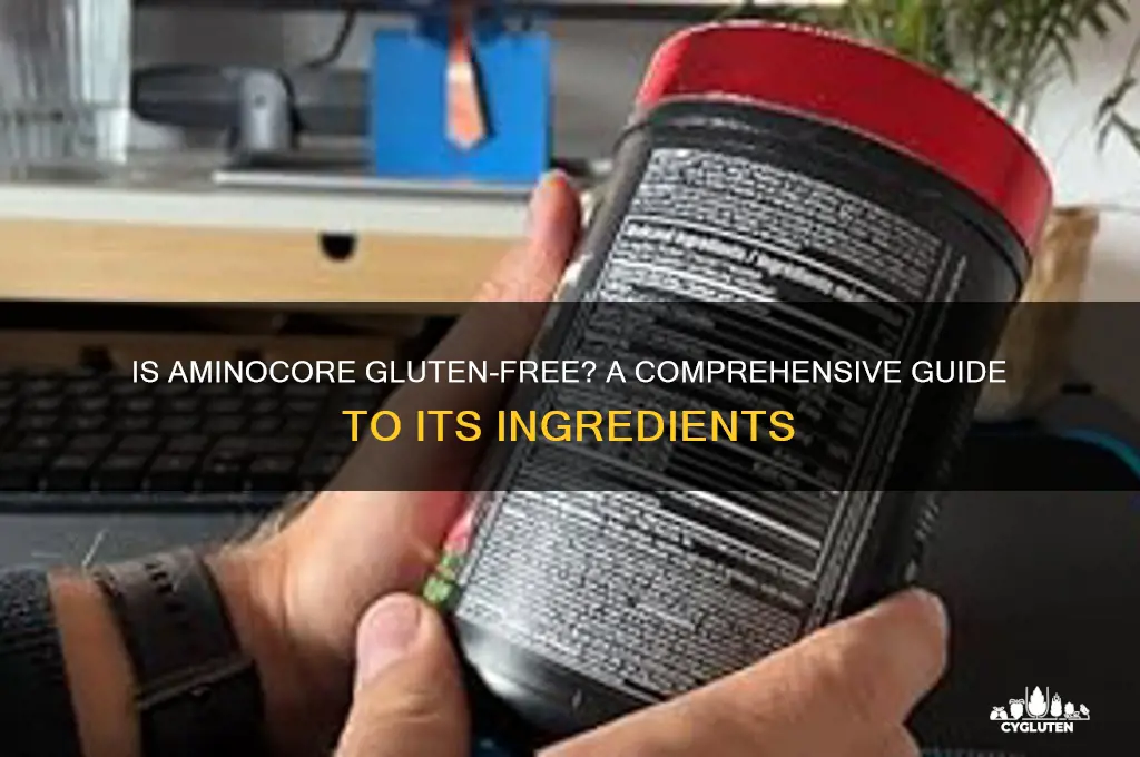 is aminocore gluten free