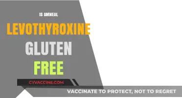 Is Amneal Levothyroxine Gluten-Free? A Comprehensive Guide for Patients