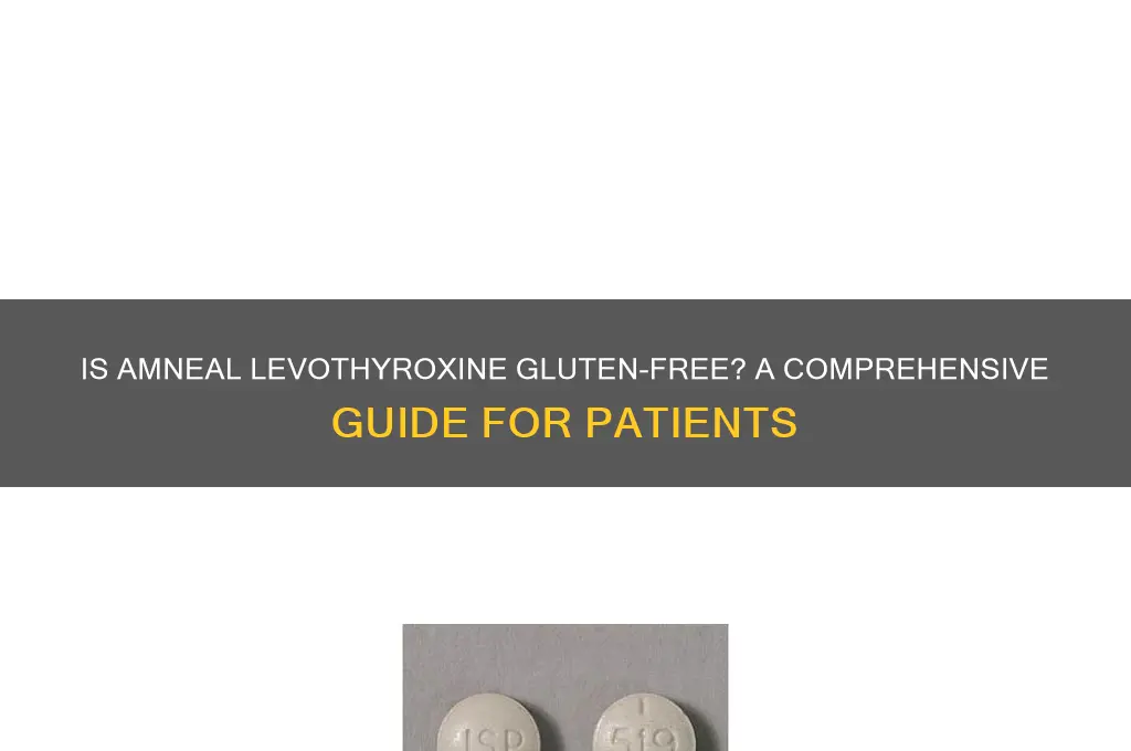 is amneal levothyroxine gluten free