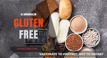 Is Amoxicillin Gluten-Free? Essential Facts for Celiac Patients