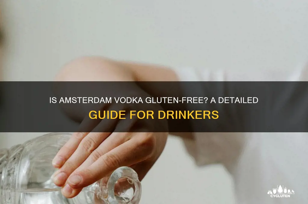 is amsterdam vodka gluten free
