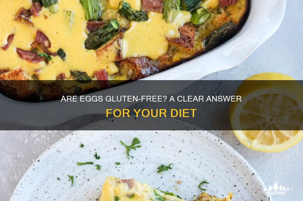is an egg gluten free