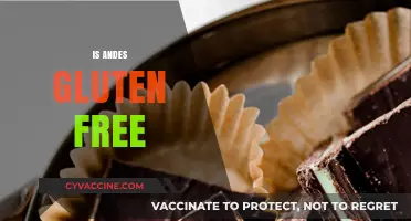 Are Andes Mints Gluten-Free? A Sweet Treat Analysis
