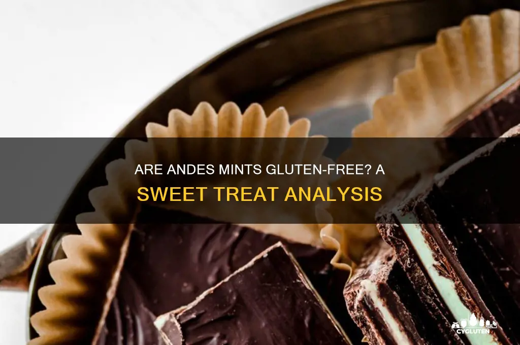 is andes gluten free
