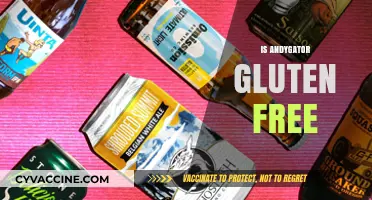 Is Andygator Gluten-Free? Uncovering the Truth About This Beer