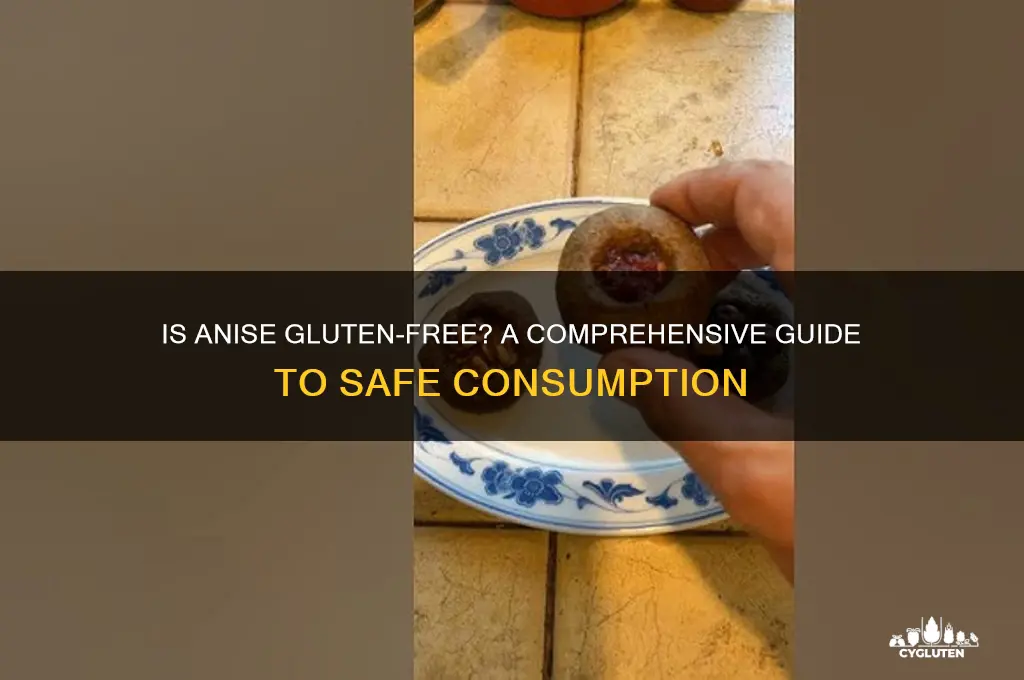 is anise gluten free